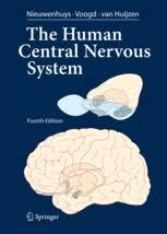 Central Nervous system